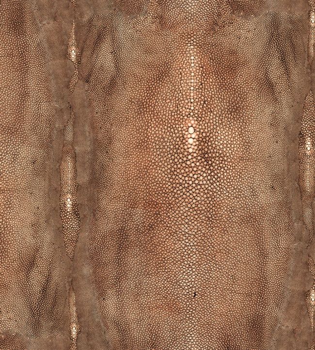 Precieux Wallpaper by Jean Paul Gaultier Cuivre