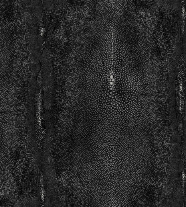 Precieux Wallpaper by Jean Paul Gaultier Noir