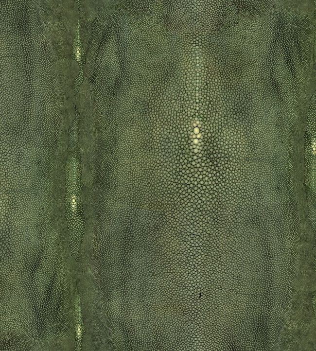 Precieux Wallpaper by Jean Paul Gaultier Vert