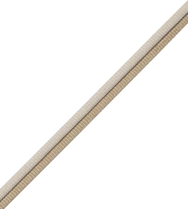 Julienne 2-tone Double Welting Trimming by Samuel & Sons Alabaster
