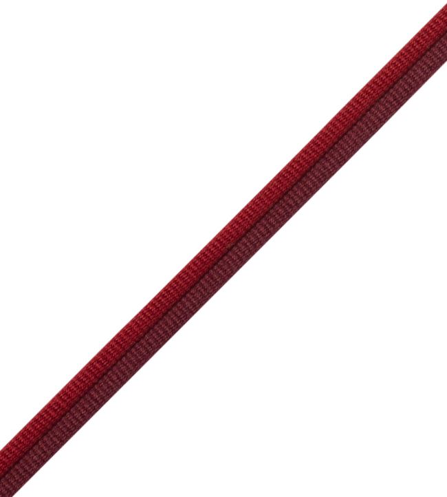 Julienne 2-tone Double Welting Trimming by Samuel & Sons Fraise