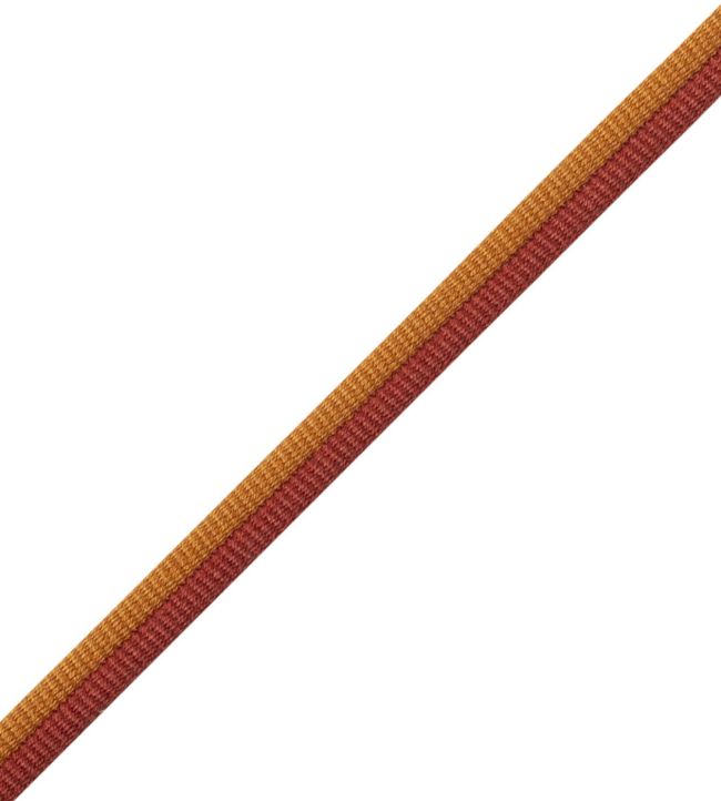 Julienne 2-tone Double Welting Trimming by Samuel & Sons Harvest