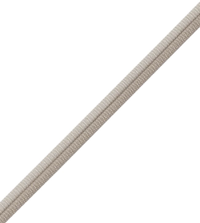 Julienne 2-tone Double Welting Trimming by Samuel & Sons Meteor