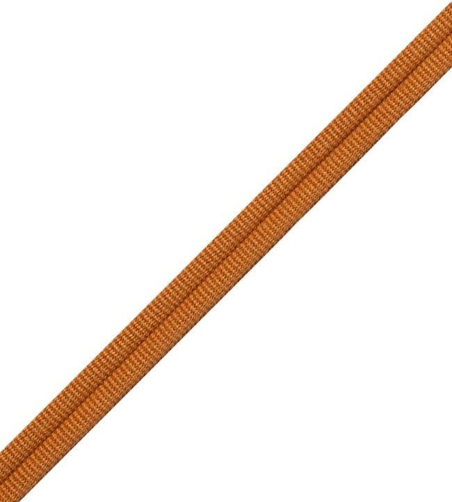 Julienne Double Welting Trimming by Samuel & Sons Amber