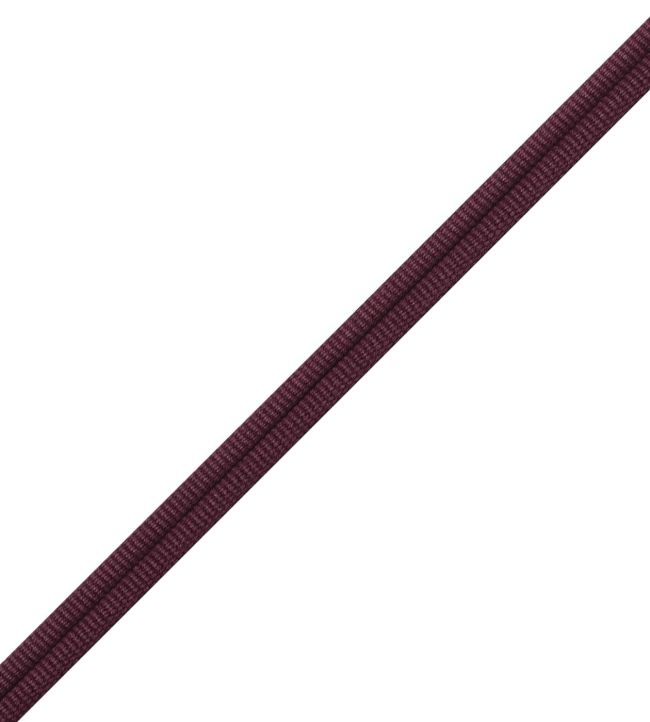 Julienne Double Welting Trimming by Samuel & Sons Aubergine
