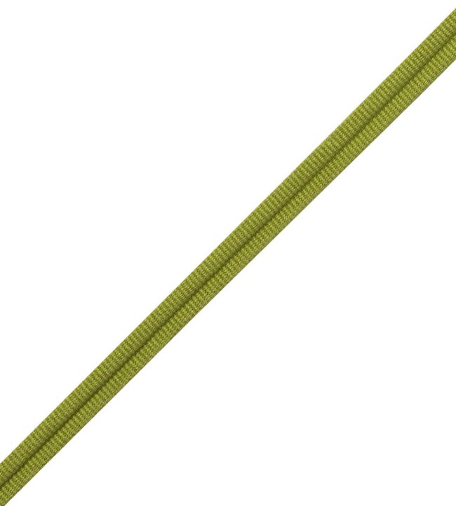Julienne Double Welting Trimming by Samuel & Sons Bamboo