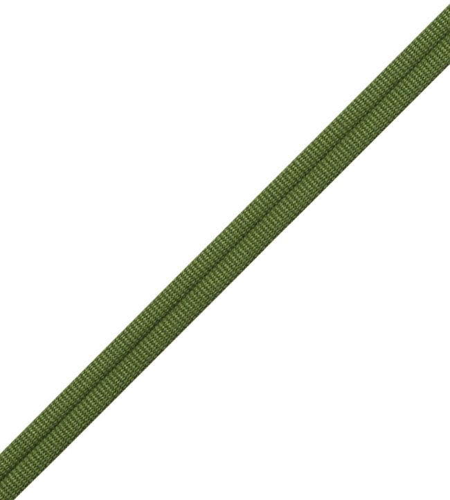 Julienne Double Welting Trimming by Samuel & Sons Basil