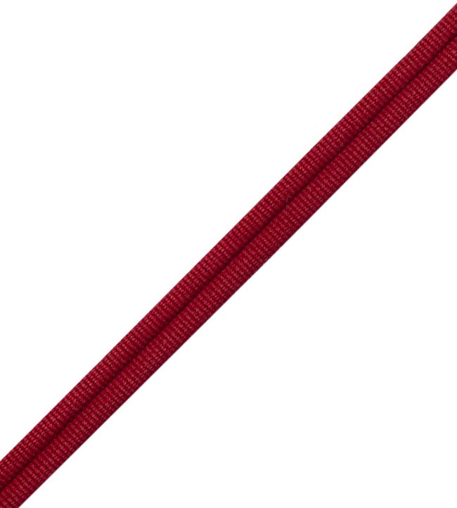 Julienne Double Welting Trimming by Samuel & Sons Caliente