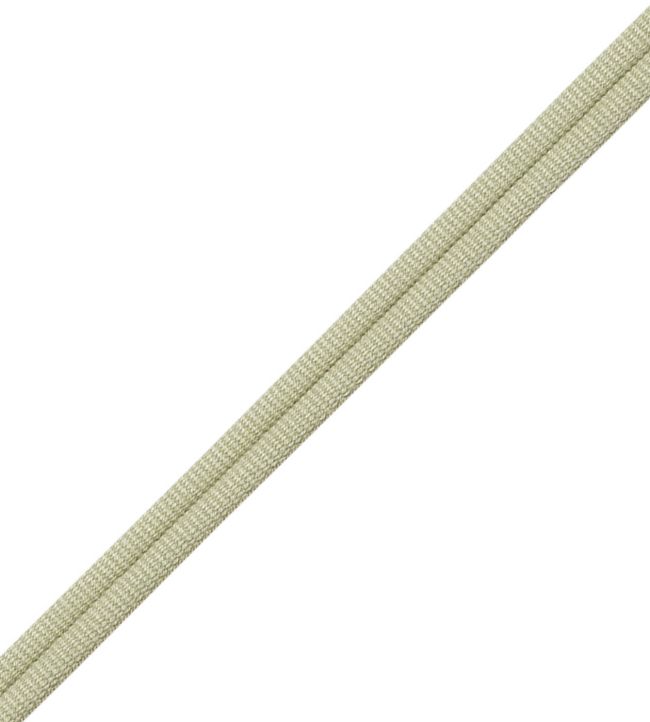 Julienne Double Welting Trimming by Samuel & Sons Celery