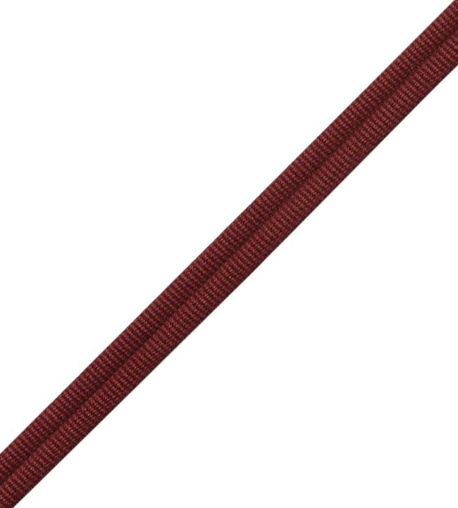 Julienne Double Welting Trimming by Samuel & Sons Cerise