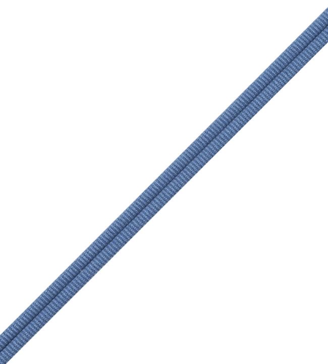 Julienne Double Welting Trimming by Samuel & Sons Cerulean