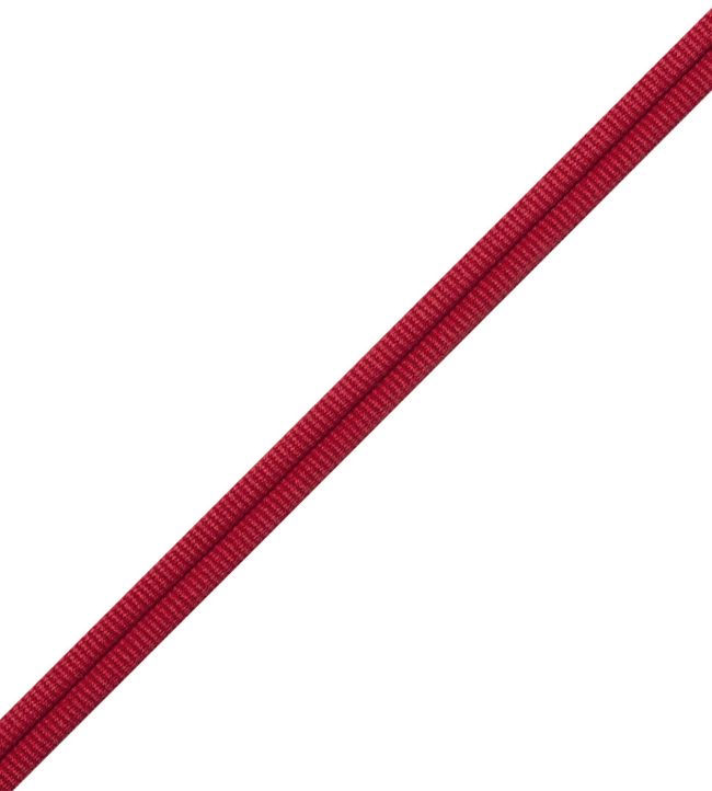 Julienne Double Welting Trimming by Samuel & Sons Crimson