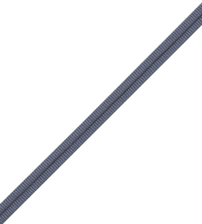 Julienne Double Welting Trimming by Samuel & Sons Dresden