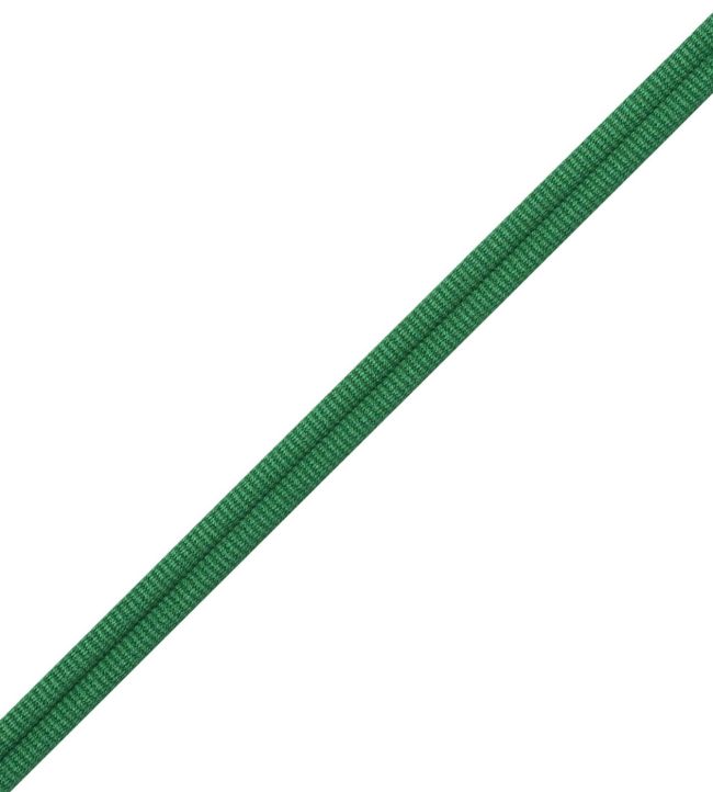 Julienne Double Welting Trimming by Samuel & Sons Emerald