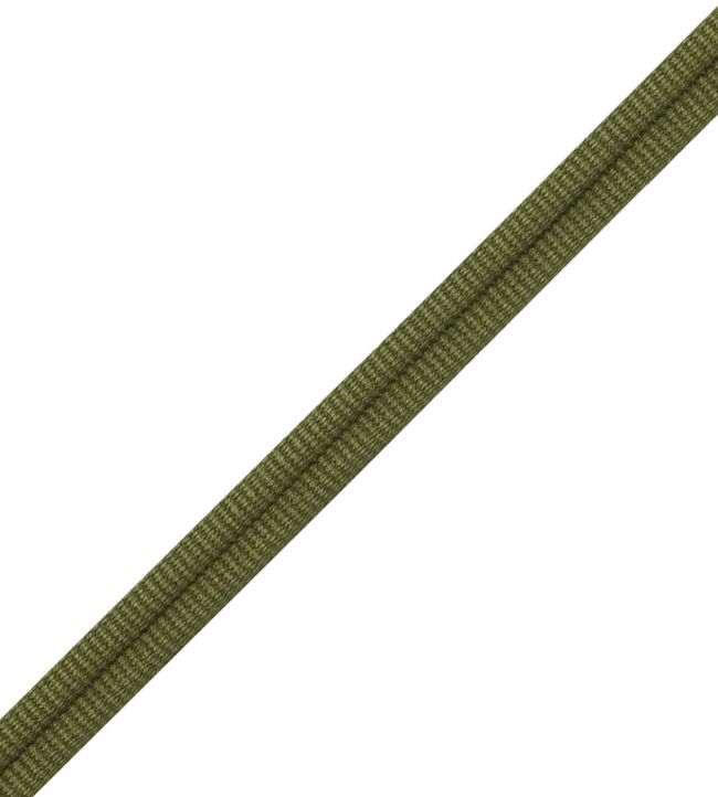 Julienne Double Welting Trimming by Samuel & Sons Evergreen