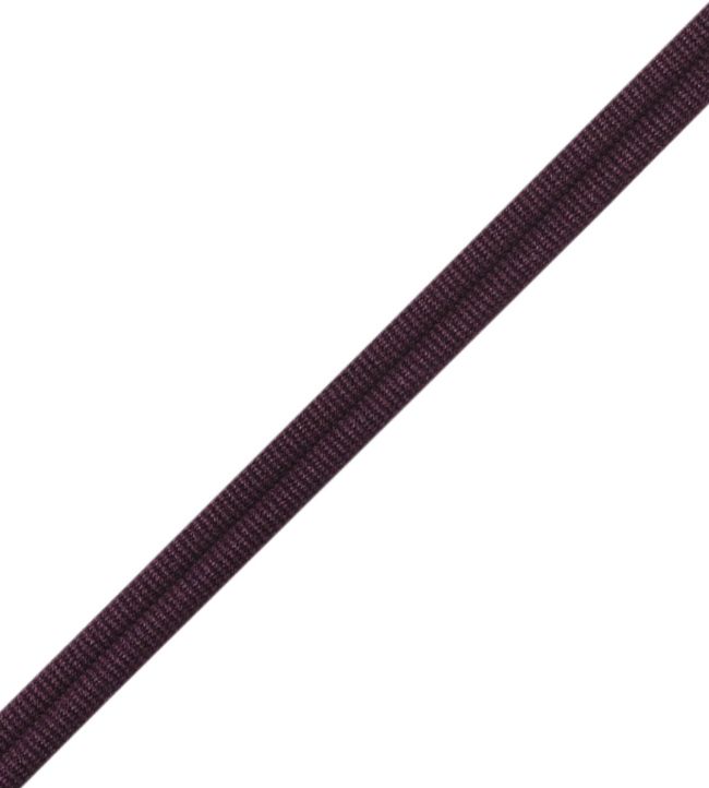Julienne Double Welting Trimming by Samuel & Sons Fig