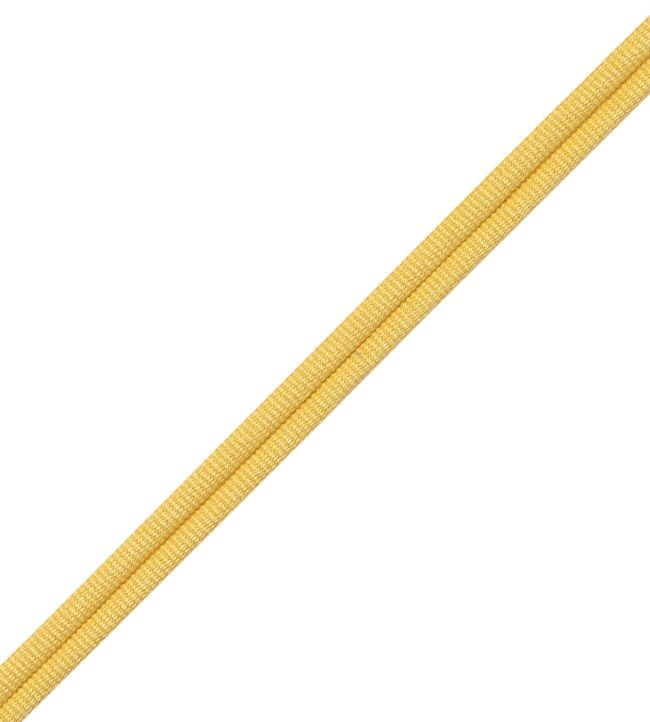 Julienne Double Welting Trimming by Samuel & Sons Forsythia