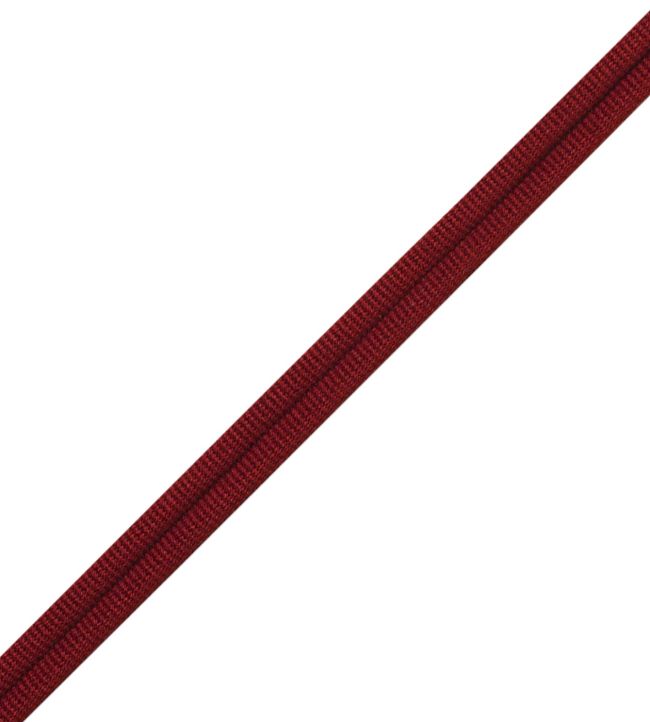 Julienne Double Welting Trimming by Samuel & Sons Garnet
