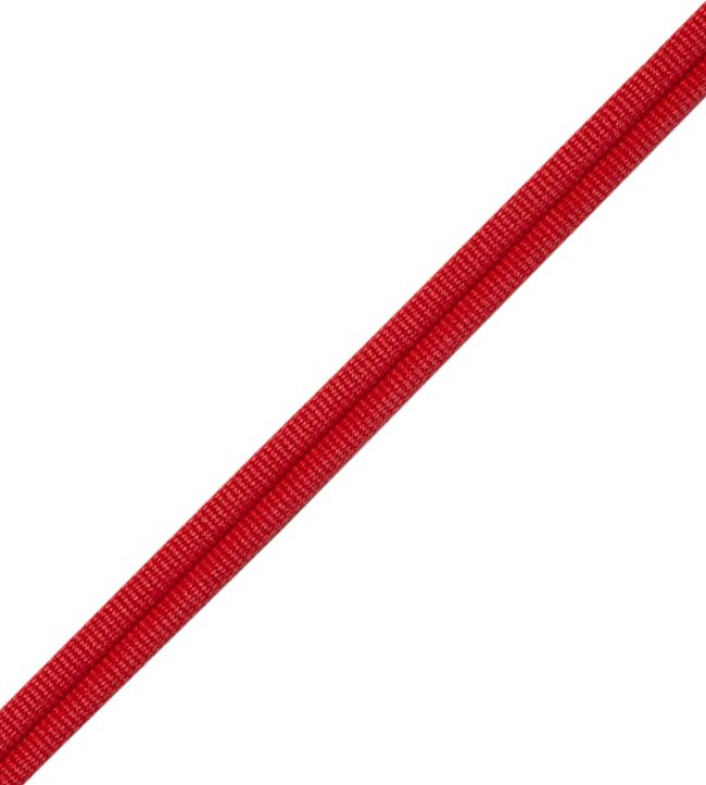 Julienne Double Welting Trimming by Samuel & Sons Geranium