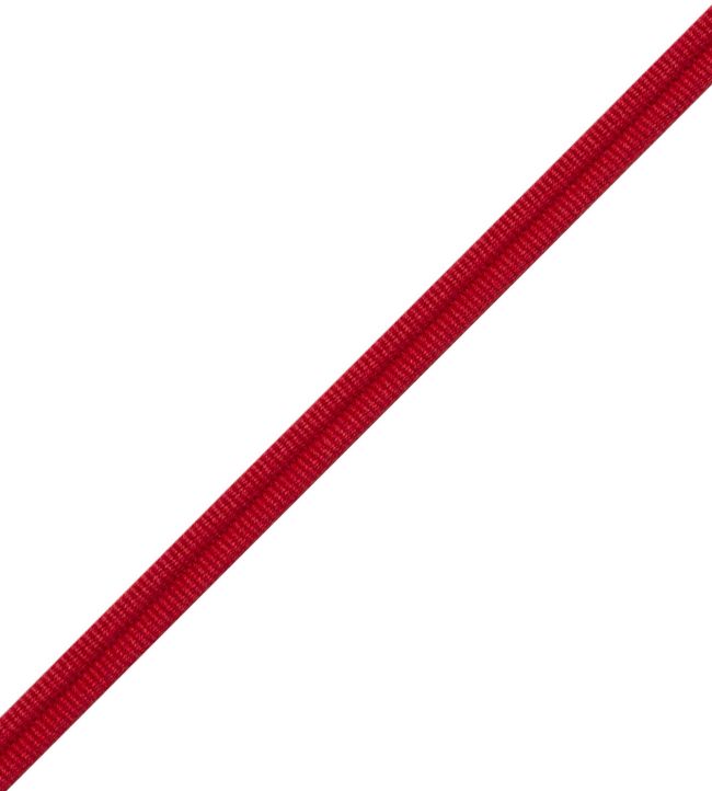 Julienne Double Welting Trimming by Samuel & Sons Goji