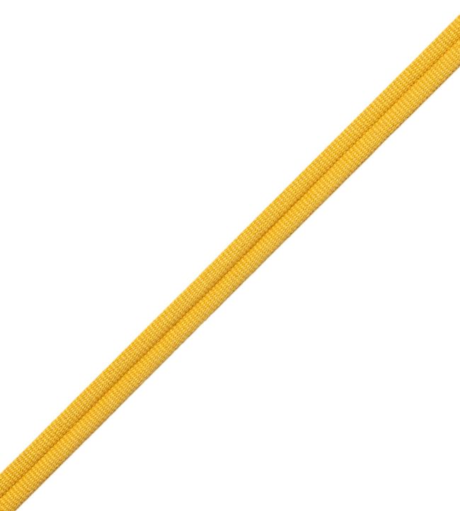 Julienne Double Welting Trimming by Samuel & Sons Goldenrod