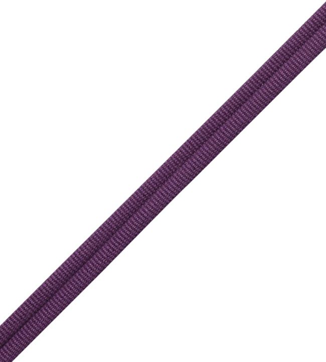 Julienne Double Welting Trimming by Samuel & Sons Grape