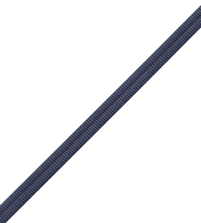 Julienne Double Welting Trimming by Samuel & Sons Imperial