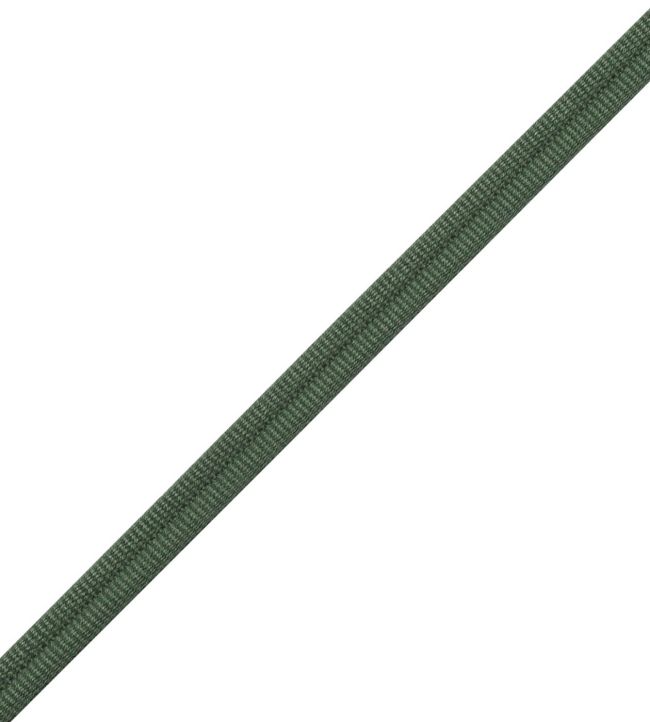 Julienne Double Welting Trimming by Samuel & Sons Juniper