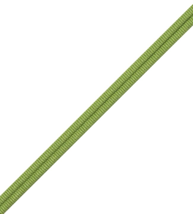 Julienne Double Welting Trimming by Samuel & Sons Kiwi