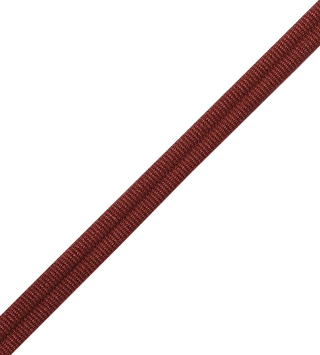 Julienne Double Welting Trimming by Samuel & Sons Marsala