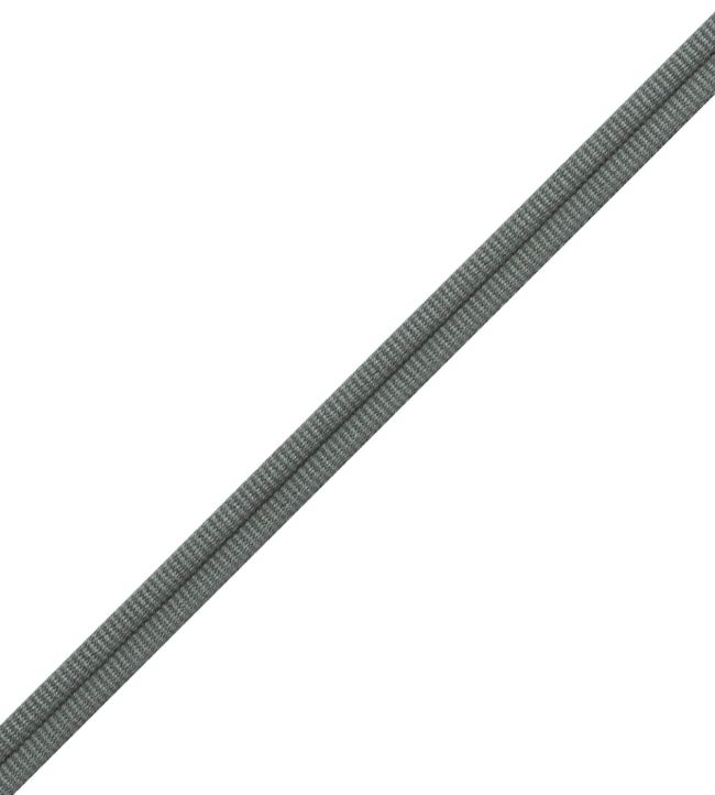 Julienne Double Welting Trimming by Samuel & Sons Mineral