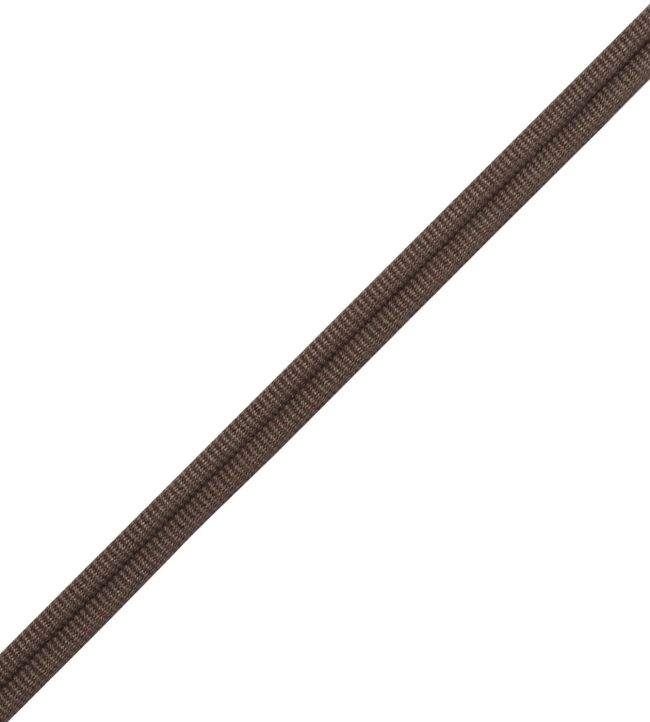 Julienne Double Welting Trimming by Samuel & Sons Mink
