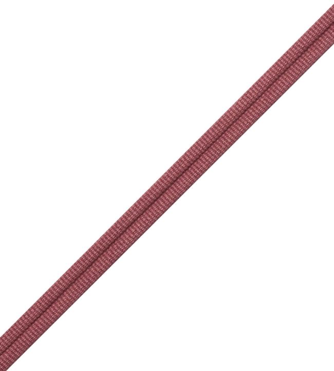Julienne Double Welting Trimming by Samuel & Sons Mulberry