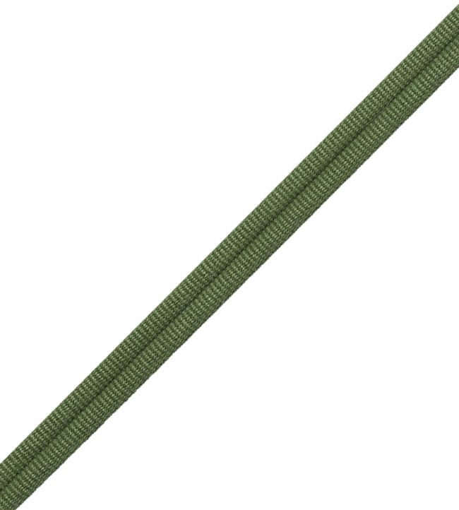 Julienne Double Welting Trimming by Samuel & Sons Oregano
