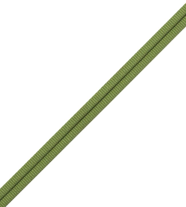 Julienne Double Welting Trimming by Samuel & Sons Parsley