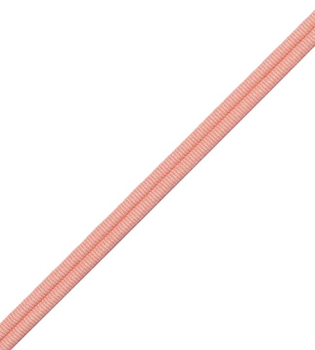 Julienne Double Welting Trimming by Samuel & Sons Peach