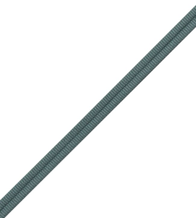 Julienne Double Welting Trimming by Samuel & Sons Petrol