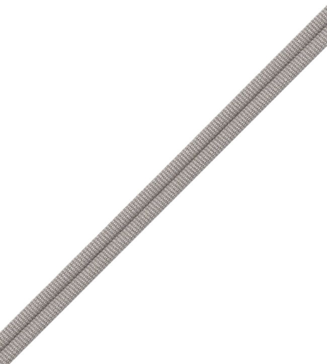 Julienne Double Welting Trimming by Samuel & Sons Pewter