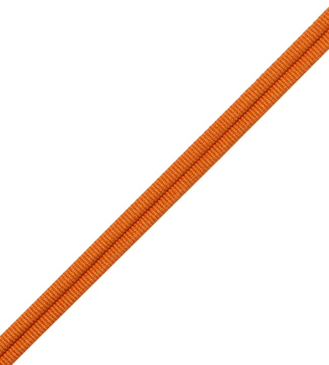 Julienne Double Welting Trimming by Samuel & Sons Pumpkin