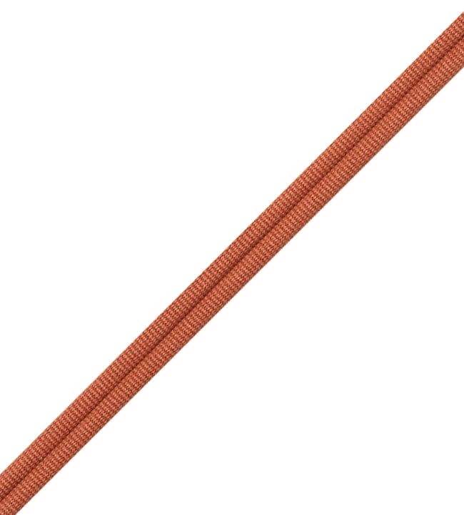 Julienne Double Welting Trimming by Samuel & Sons Quince