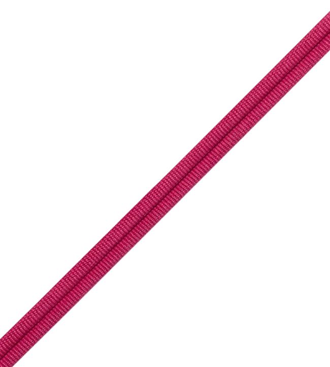 Julienne Double Welting Trimming by Samuel & Sons Raspberry