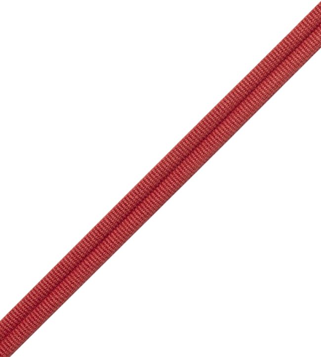 Julienne Double Welting Trimming by Samuel & Sons Rhubarb