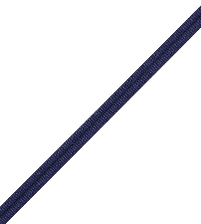 Julienne Double Welting Trimming by Samuel & Sons Royal