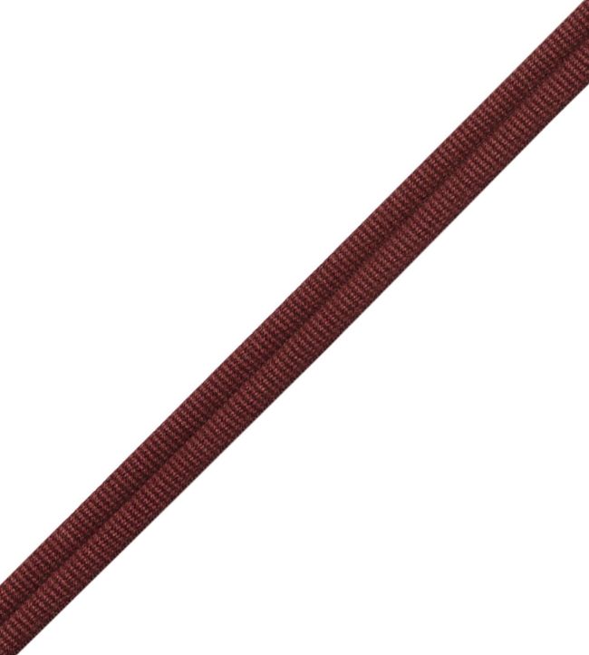 Julienne Double Welting Trimming by Samuel & Sons Russet