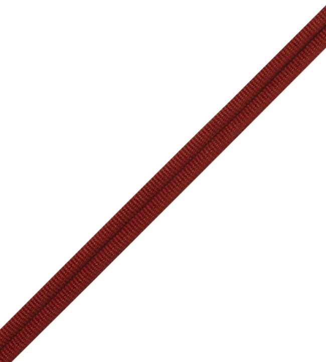 Julienne Double Welting Trimming by Samuel & Sons Sienna