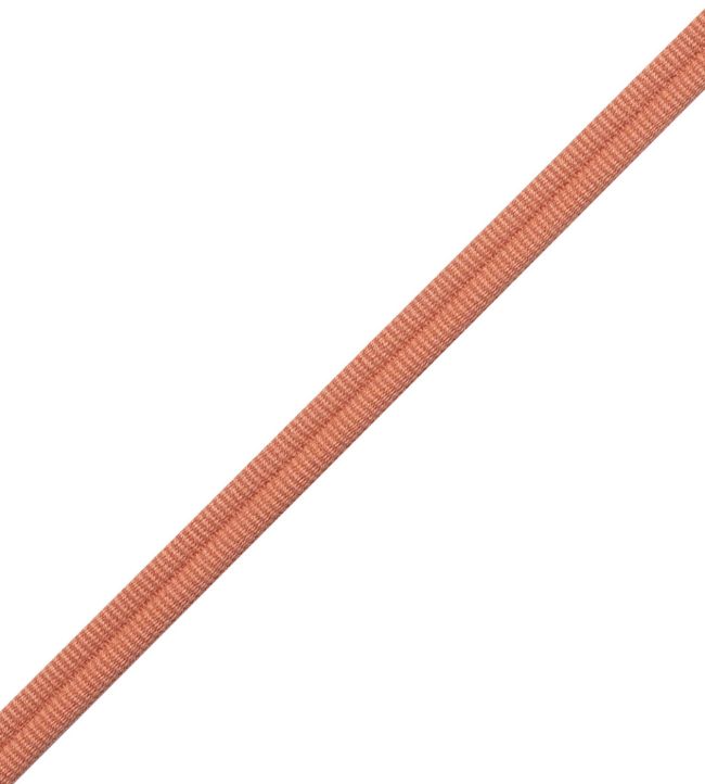 Julienne Double Welting Trimming by Samuel & Sons Sorbet