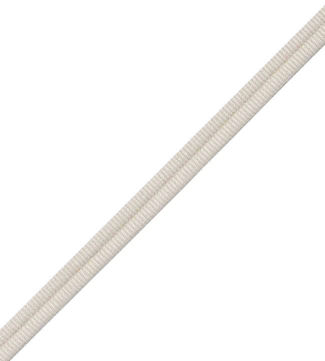 Julienne Double Welting Trimming by Samuel & Sons Soy