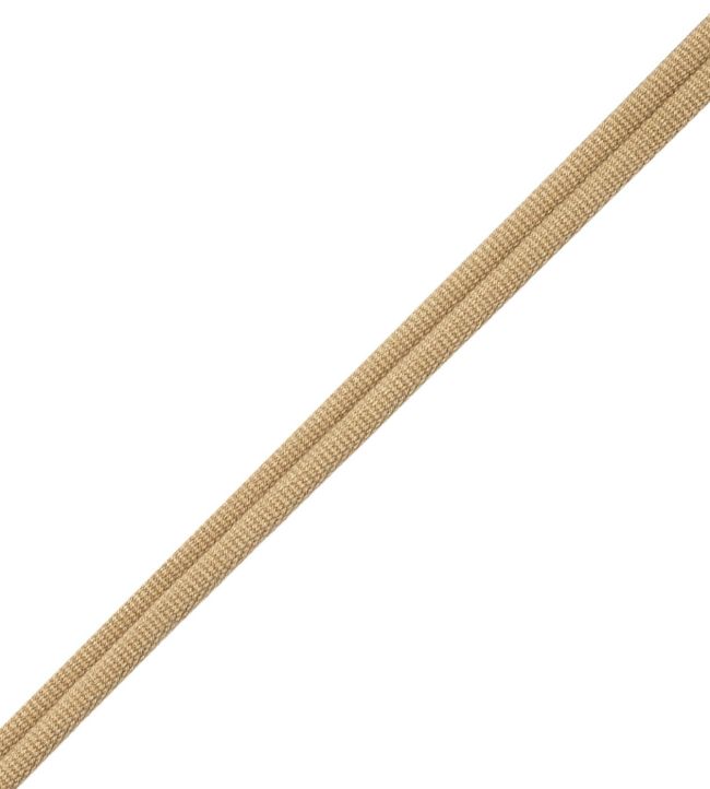 Julienne Double Welting Trimming by Samuel & Sons Straw