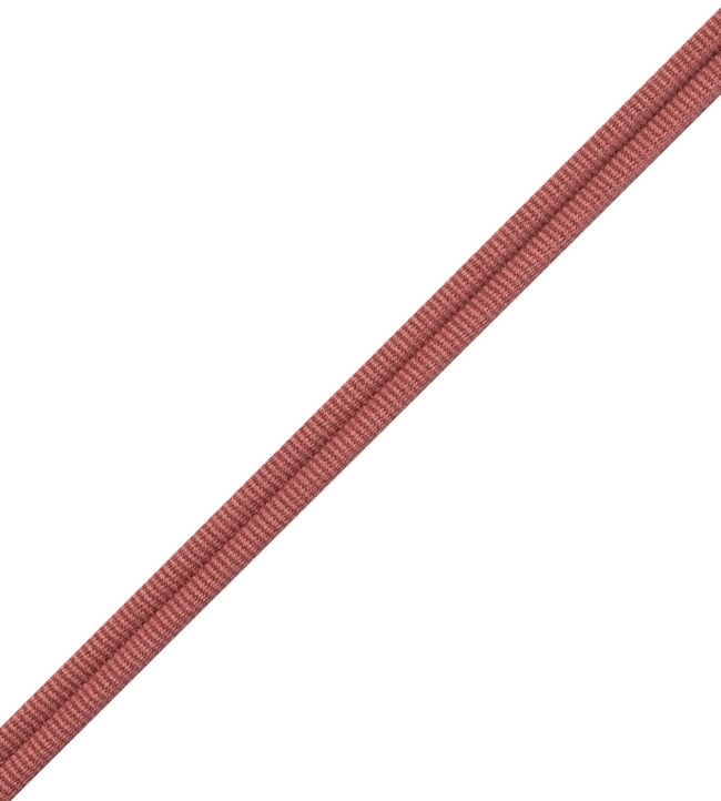 Julienne Double Welting Trimming by Samuel & Sons Terracotta