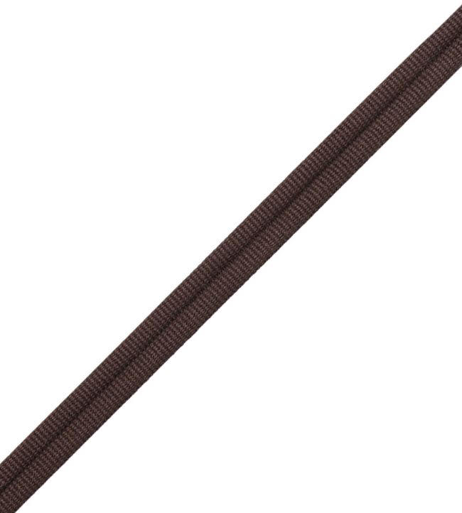 Julienne Double Welting Trimming by Samuel & Sons Tortoise